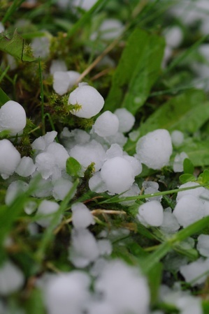 photo of hail