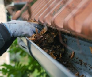 Homeowner wearing gloves cleaning wet leaves and debris out of a roof gutter during fall maintenance.