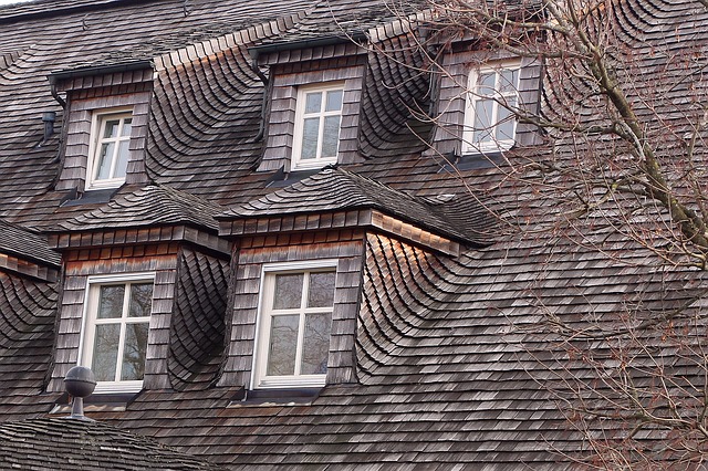 photo of shingles